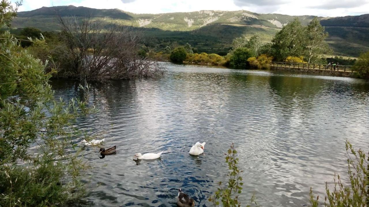 Al Viento, Alojamiento & Turismo Rural Pradena Del Rincon エクステリア 写真