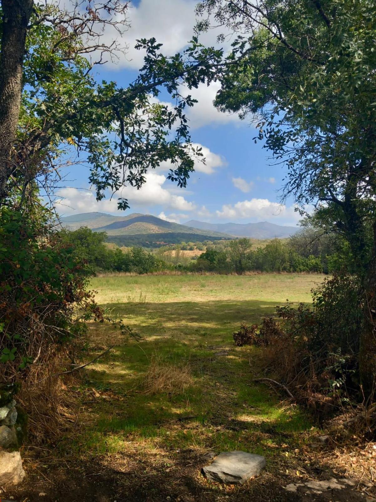 Al Viento, Alojamiento & Turismo Rural Pradena Del Rincon エクステリア 写真