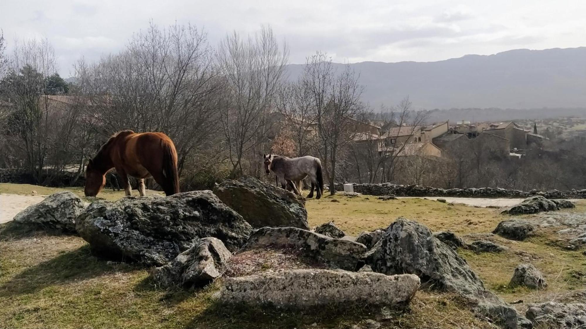 Al Viento, Alojamiento & Turismo Rural Pradena Del Rincon エクステリア 写真