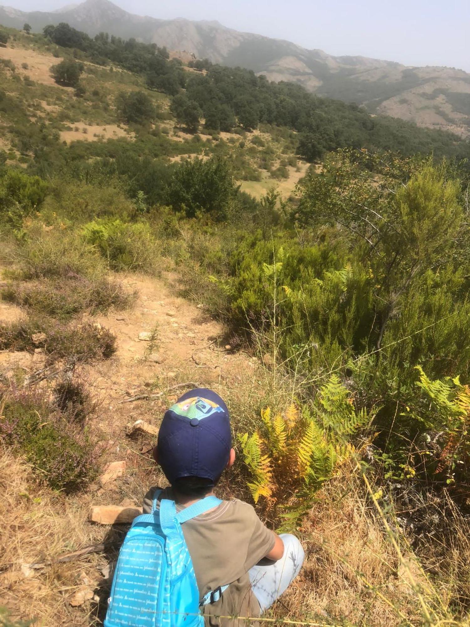 Al Viento, Alojamiento & Turismo Rural Pradena Del Rincon エクステリア 写真