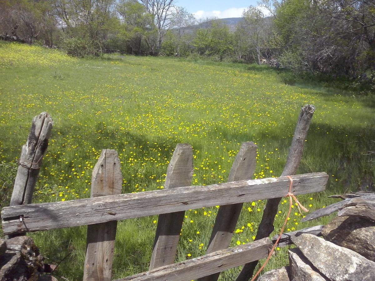 Al Viento, Alojamiento & Turismo Rural Pradena Del Rincon エクステリア 写真