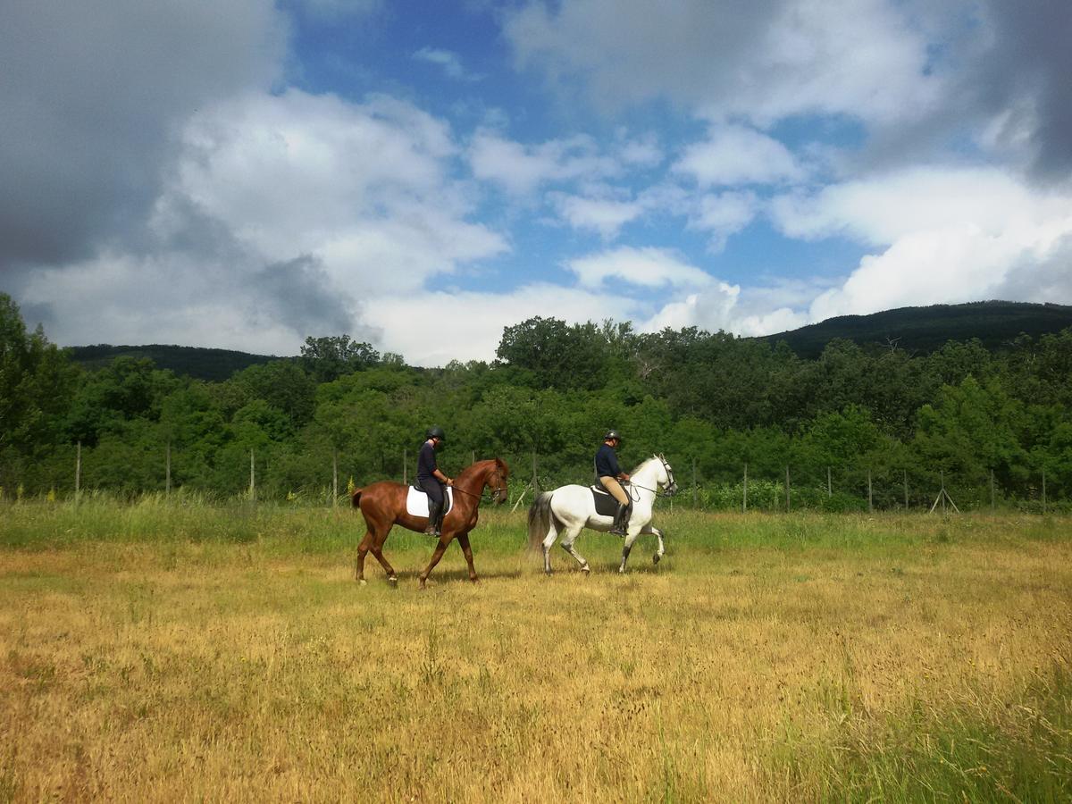 Al Viento, Alojamiento & Turismo Rural Pradena Del Rincon エクステリア 写真