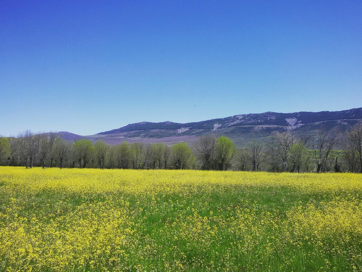 Al Viento, Alojamiento & Turismo Rural Pradena Del Rincon エクステリア 写真