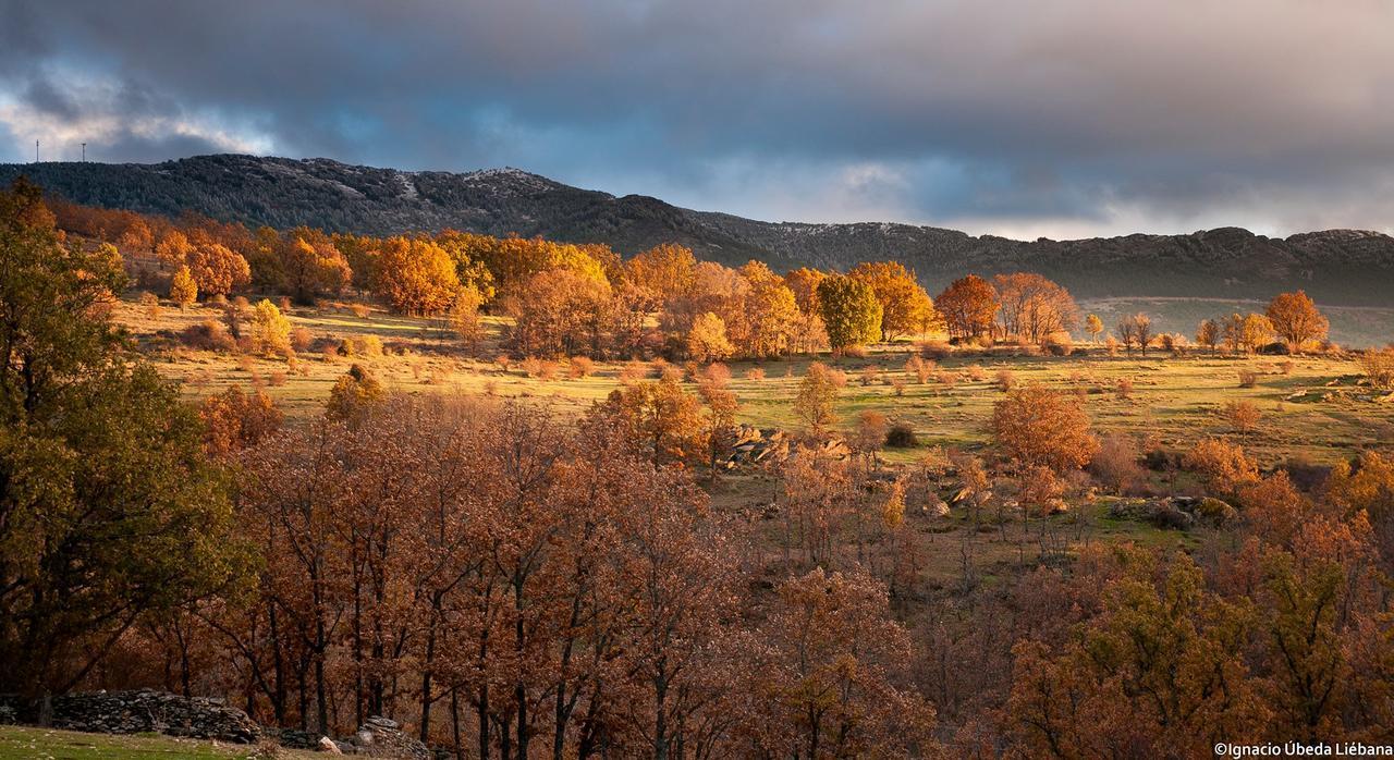 Al Viento, Alojamiento & Turismo Rural Pradena Del Rincon エクステリア 写真